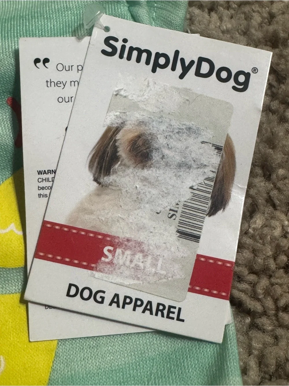 Dog 